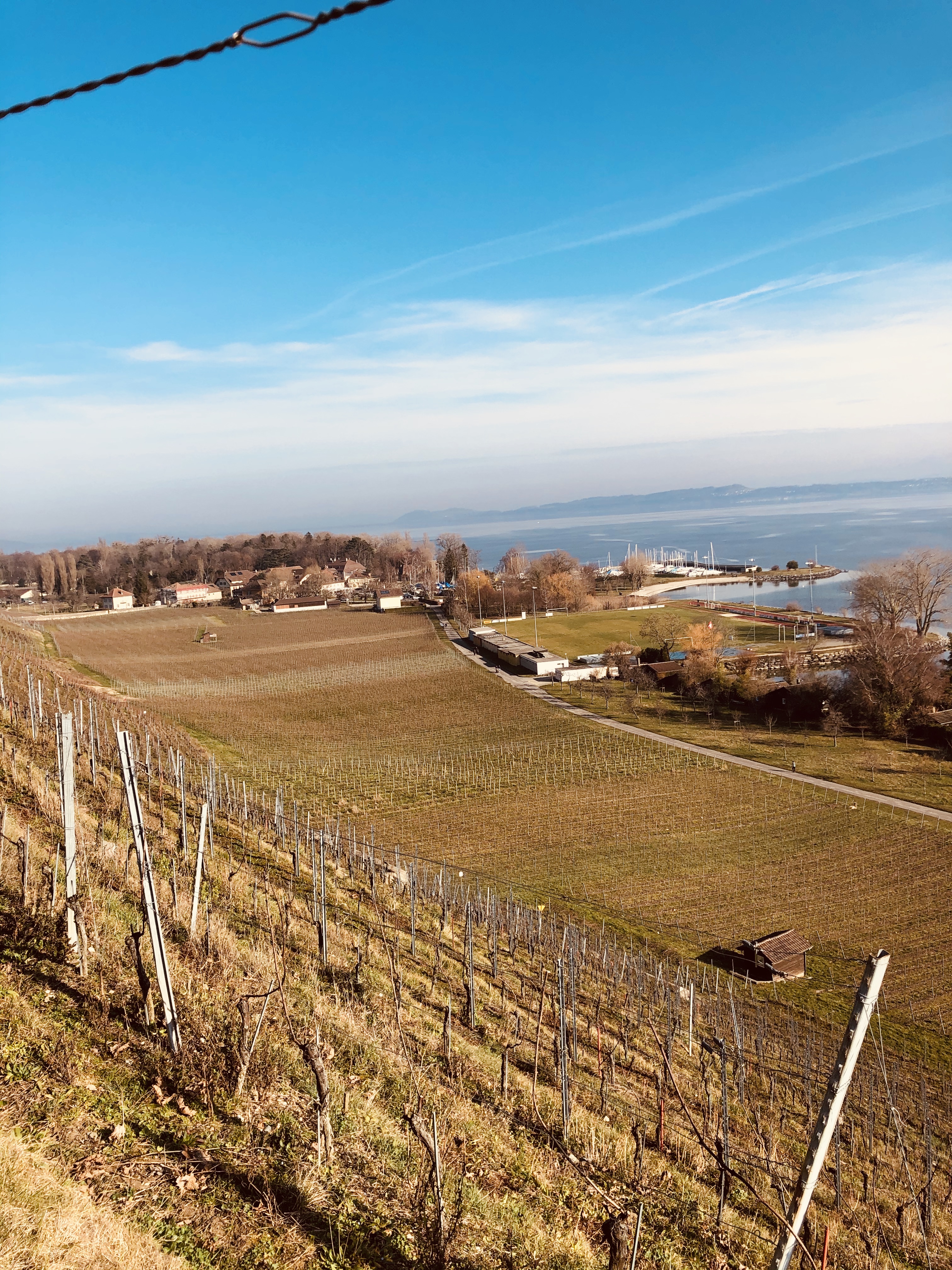 Lac et vignobles
