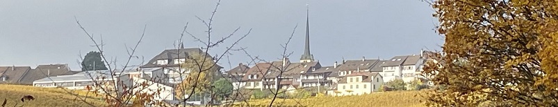 Bannière Cortaillod